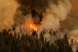 WildfireAerial_EVS